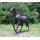 Life Size Bronze Horse Statue